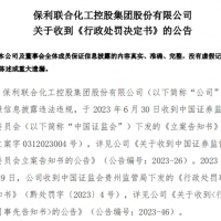 曾花近8億買下儲量超億噸大礦的央企因虛增利潤被罰955萬！